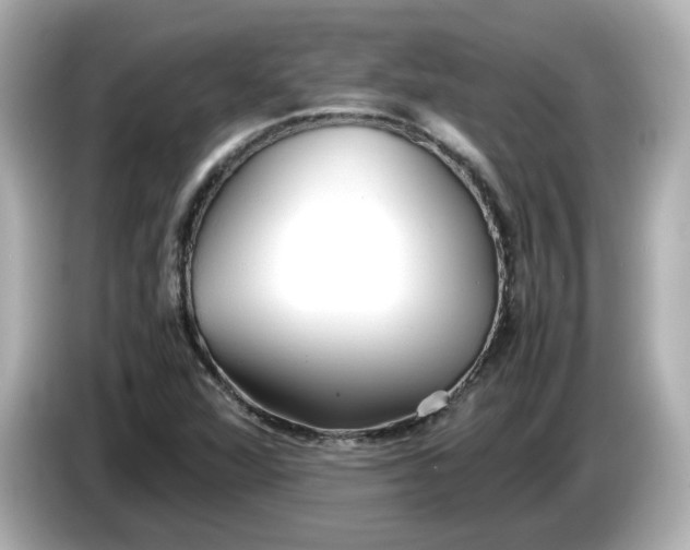 X0000086011360200704091048