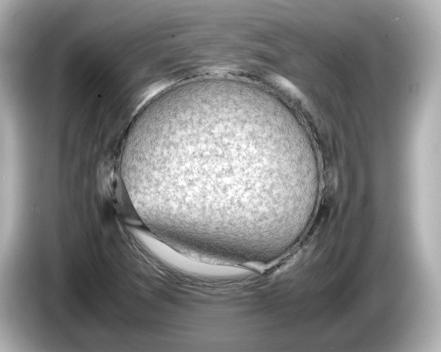 X0000086011361200704091048