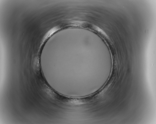 X0000086011362200704091048