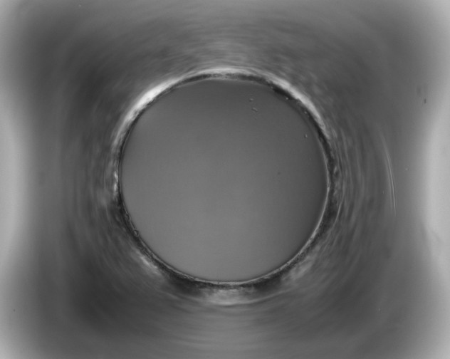 X0000086011367200704091048