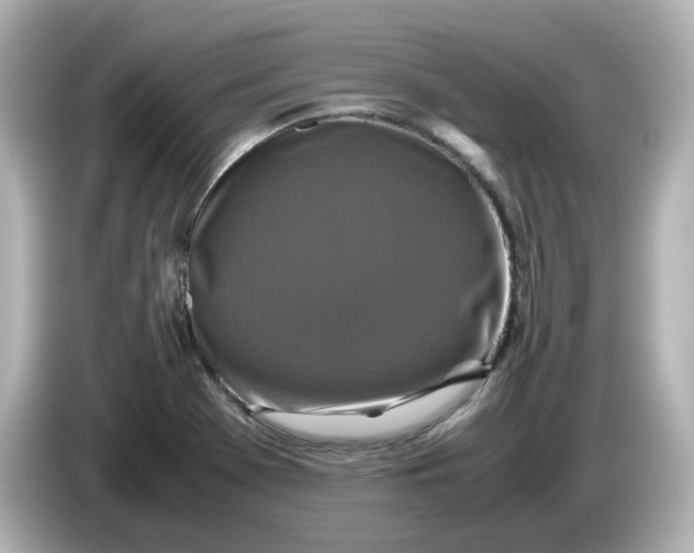X0000086011369200704091048