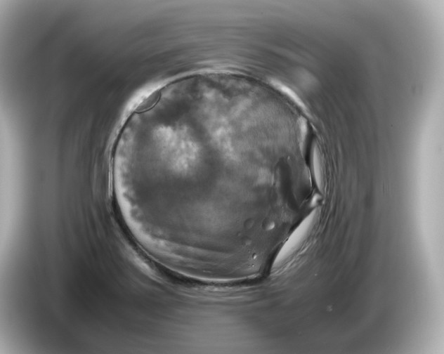 X0000086011371200704091048