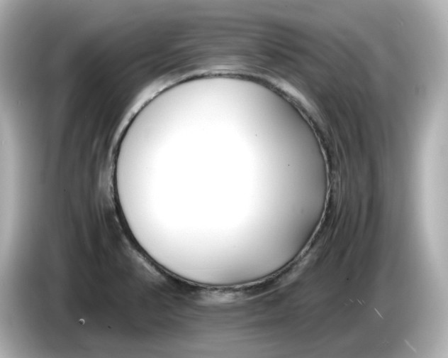 X0000086011374200704091048