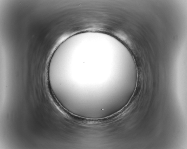 X0000086011375200704091048