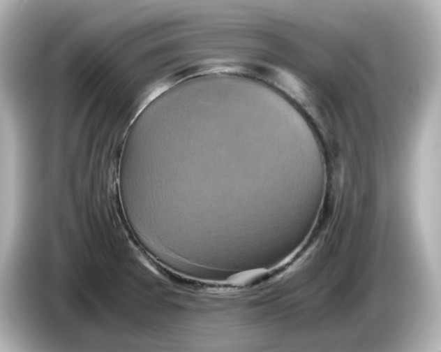 X0000086011377200704091048