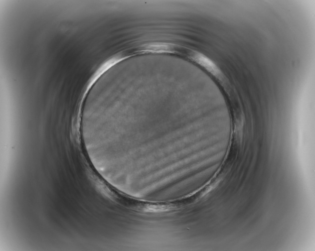 X0000086011378200704091048