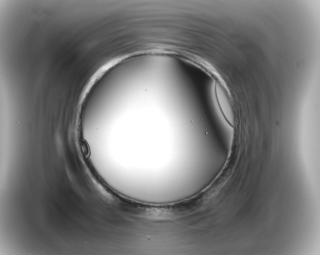 X0000086011379200704091048