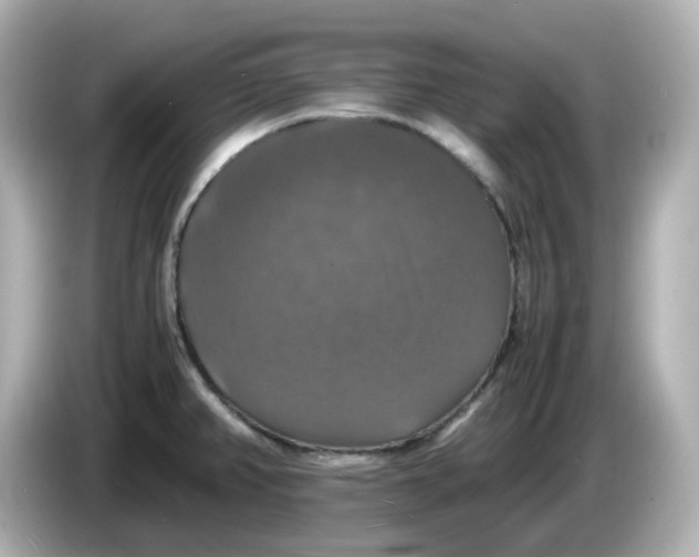 X0000086011382200704091048