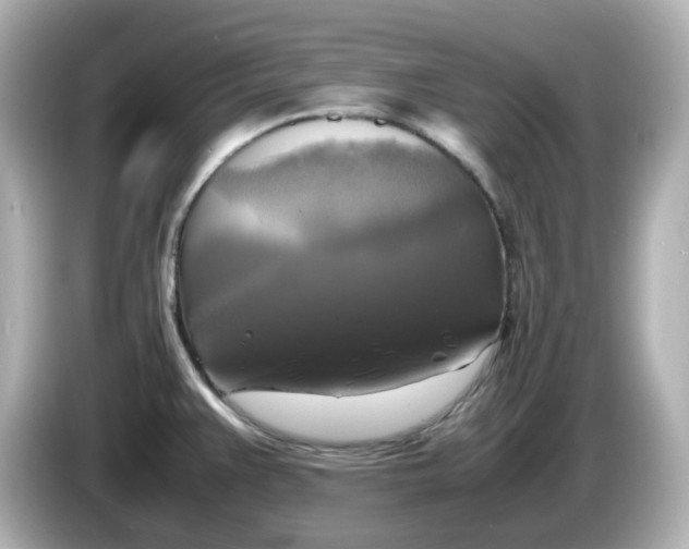 X0000086011383200704091048