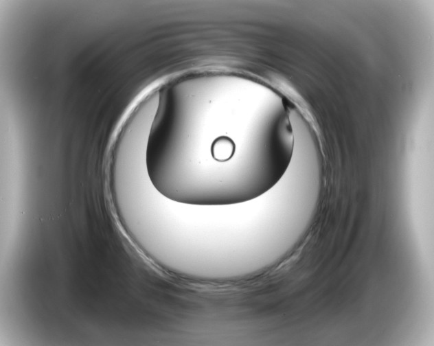 X0000086011384200704091048