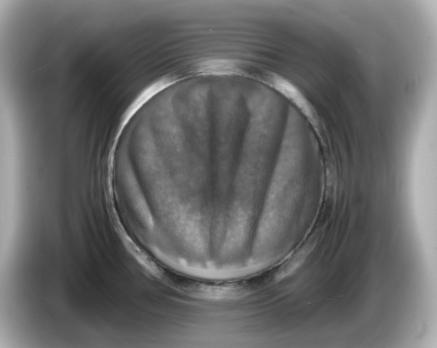 X0000086011386200704091048