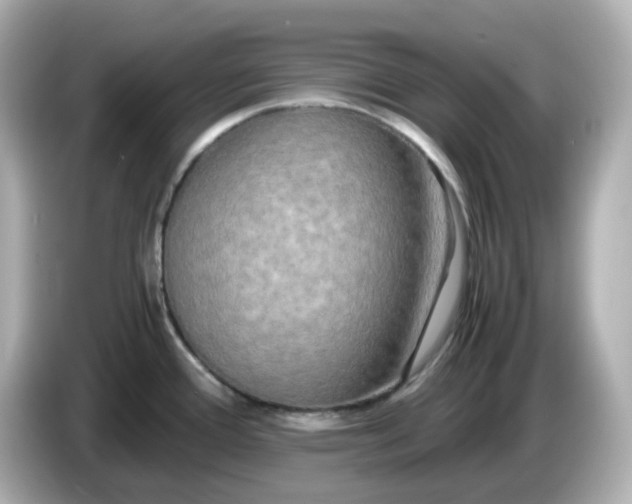 X0000086011388200704091048