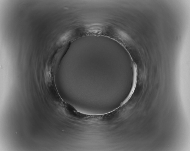 X0000086011394200704091047