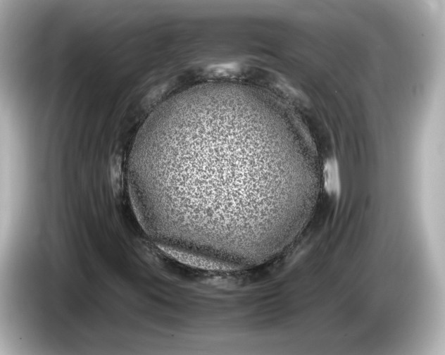 X0000086011395200704091047