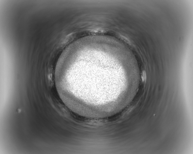 X0000086011396200704091047