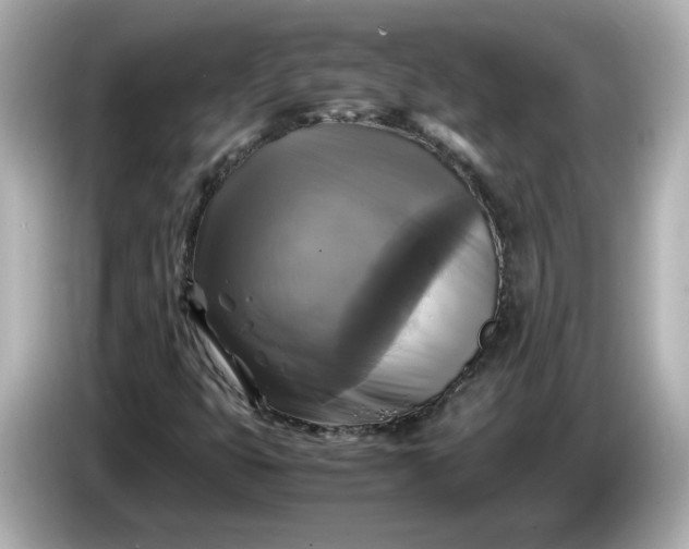 X0000086011399200704091047
