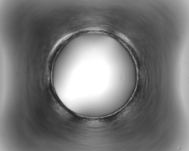 X0000086011408200704091047