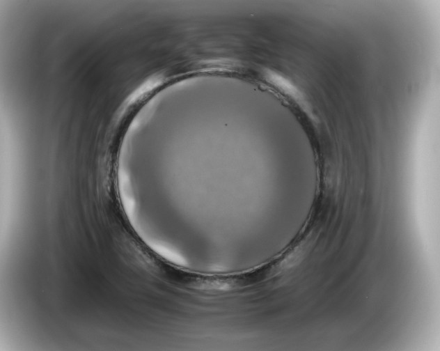 X0000086011411200704091047