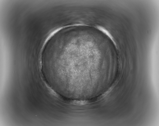 X0000086011415200704091047