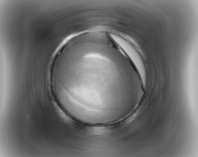 X0000086011422200704091047