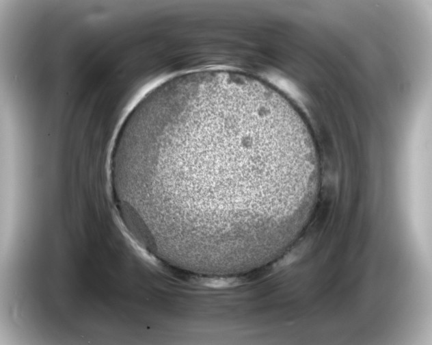 X0000086011423200704091047