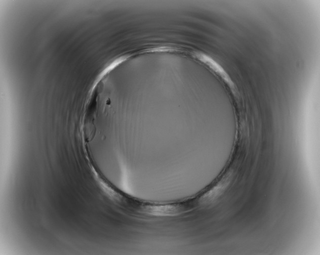 X0000086011425200704091047