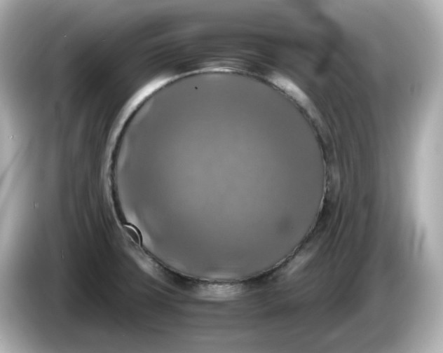 X0000086011427200704091047