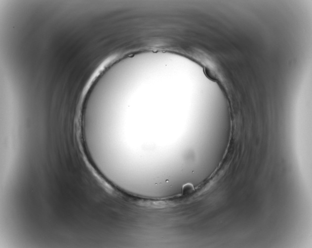 X0000086011432200704091047