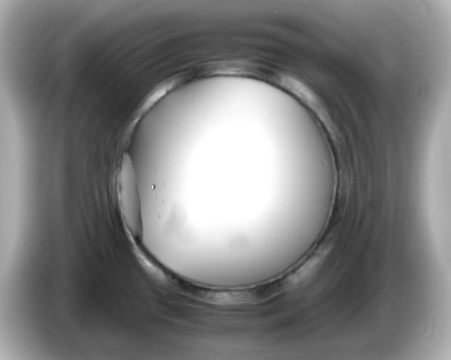 X0000086011433200704091047