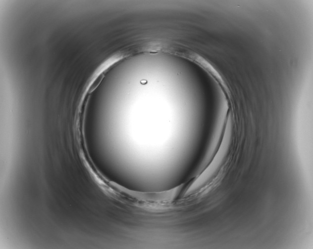X0000086011434200704091047