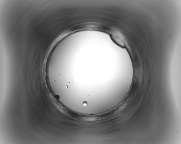 X0000086011435200704091047