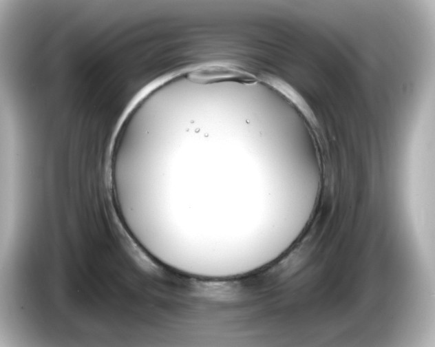 X0000086011436200704091047