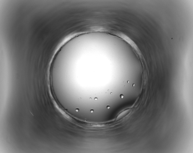 X0000086011439200704091047