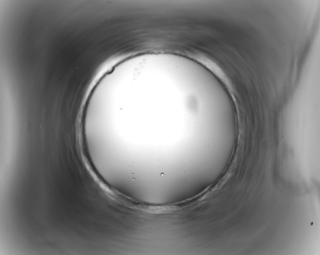 X0000086011440200704091047