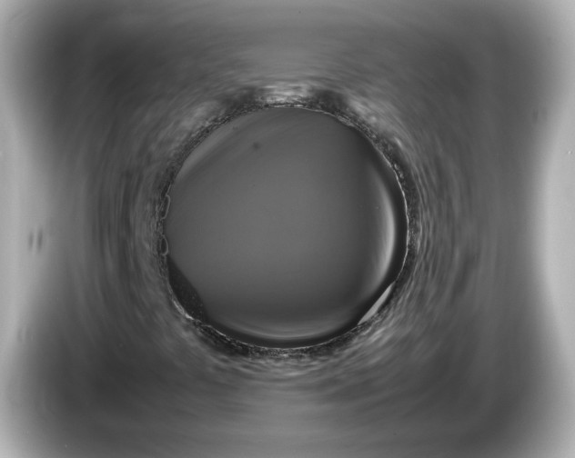 X0000086011441200704091047