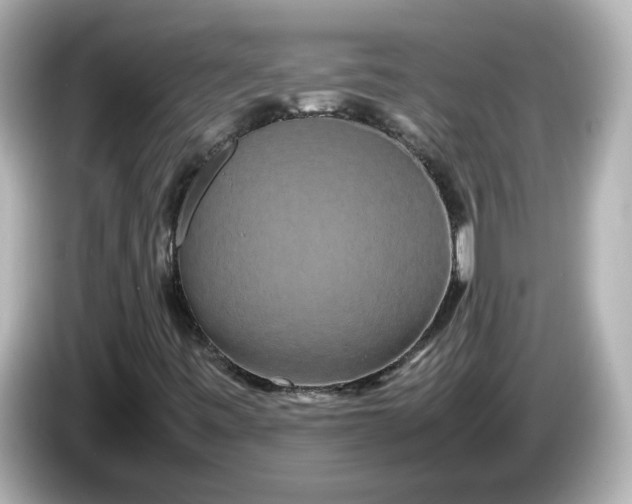 X0000086011443200704091047