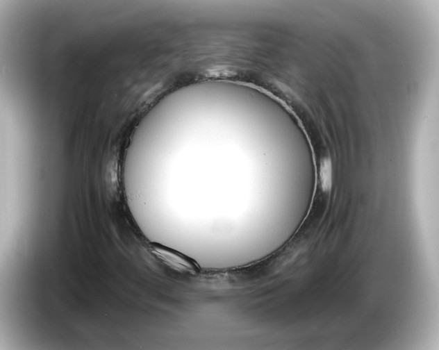 X0000086011444200704091047