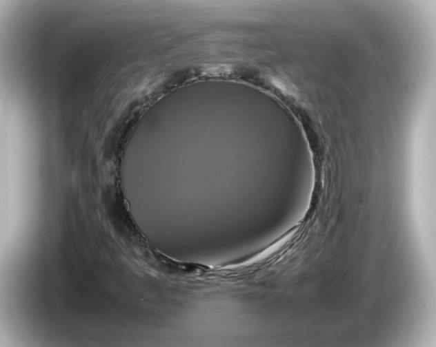 X0000086011445200704091047