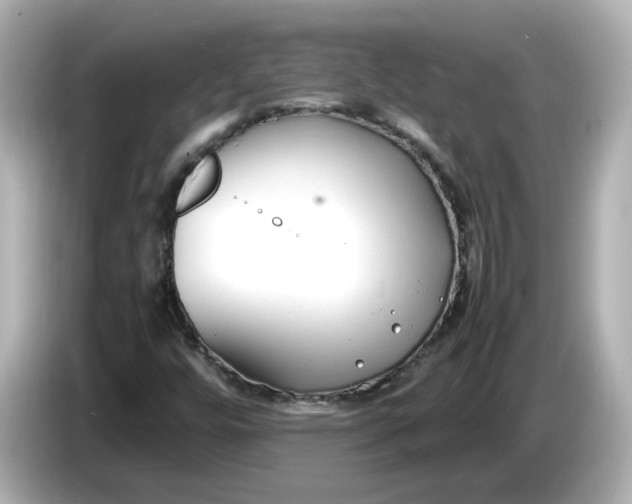 X0000086011448200704091047