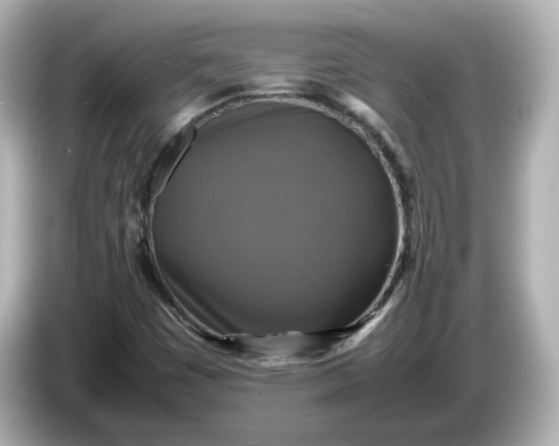 X0000086011449200704091047