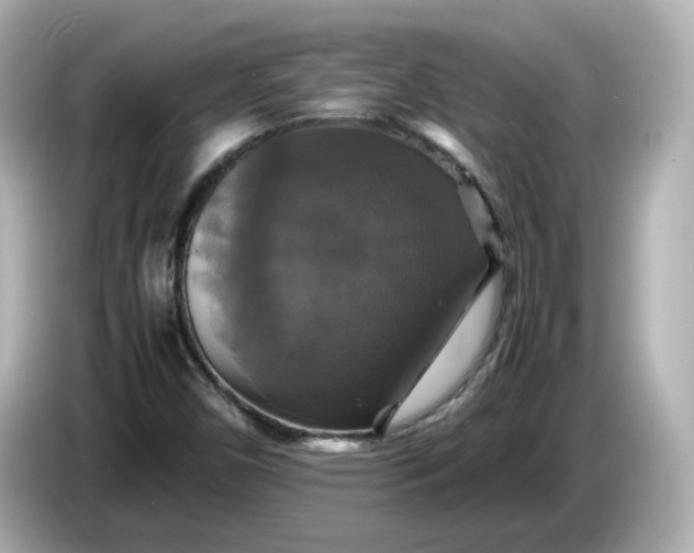 X0000086011450200704091047