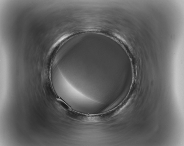 X0000086011453200704091047