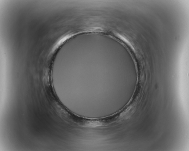 X0000086011455200704091047