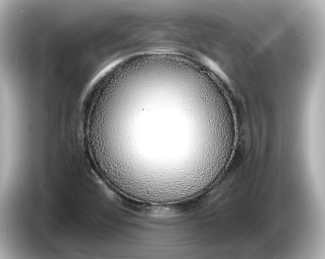 X0000086011456200704091047