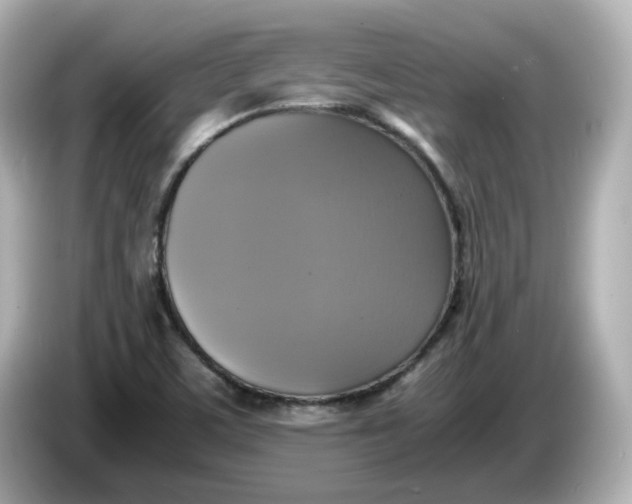 X0000086011459200704091047