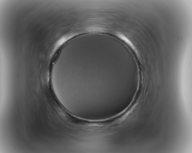 X0000086011461200704091047