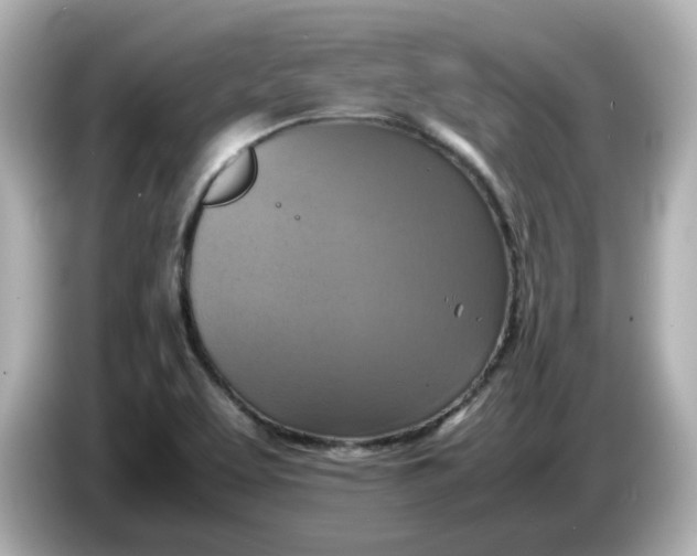 X0000086011463200704091047