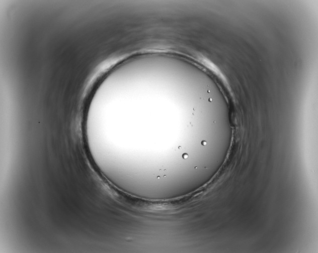 X0000086011464200704091047
