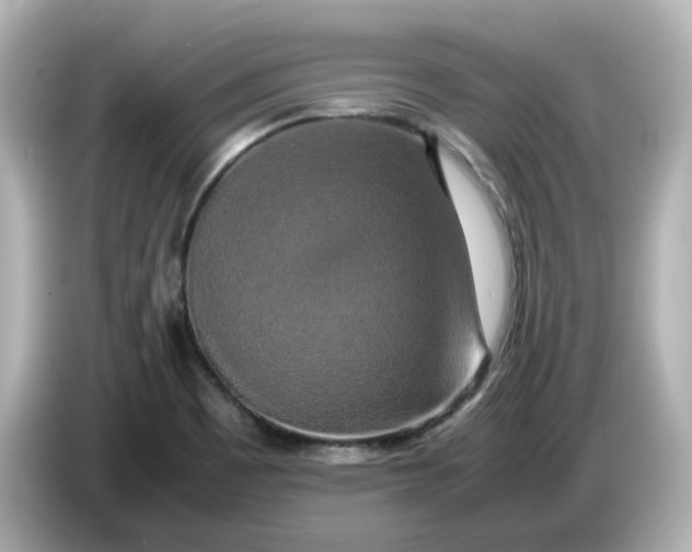 X0000086011465200704091047