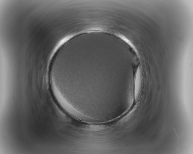 X0000086011469200704091047